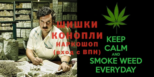 винт Магас