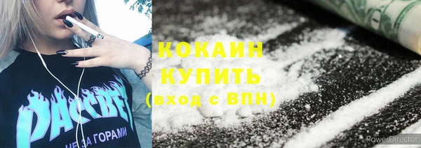прущие грибы Куйбышев