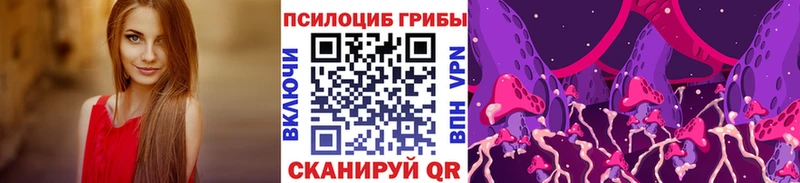 Галлюциногенные грибы Magic Shrooms  Купить  Городец 